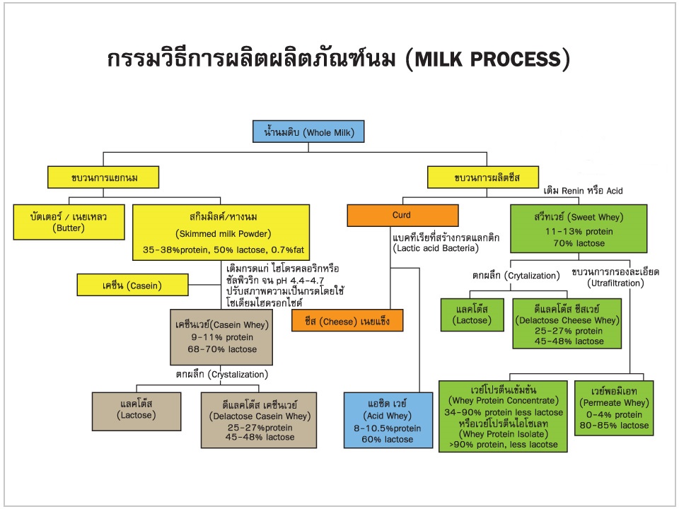 กรรมวิธีการผลิต ผลิตภัณฑ์นม (Milk Process)