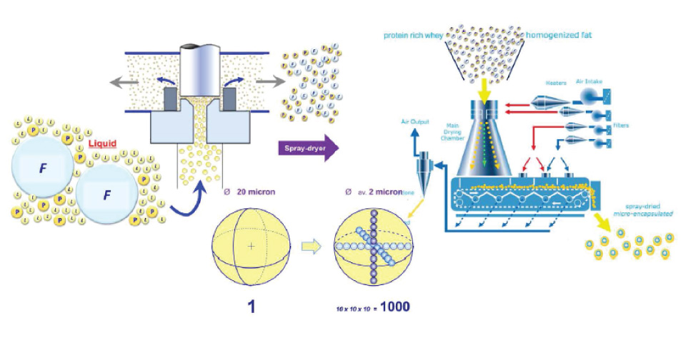 กรรมวิธีการผลิต ผลิตภัณฑ์นม (Milk Process)