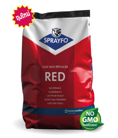 สเปรย์โฟ เรด (SPRAYFO RED)