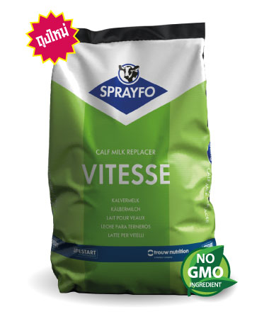 สเปรย์โฟ วิททีส (SPRAYFO VITESSE)