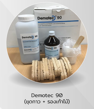 Demotec 90 (ชุดกาว + รองเท้าไม้) Hoof Tool